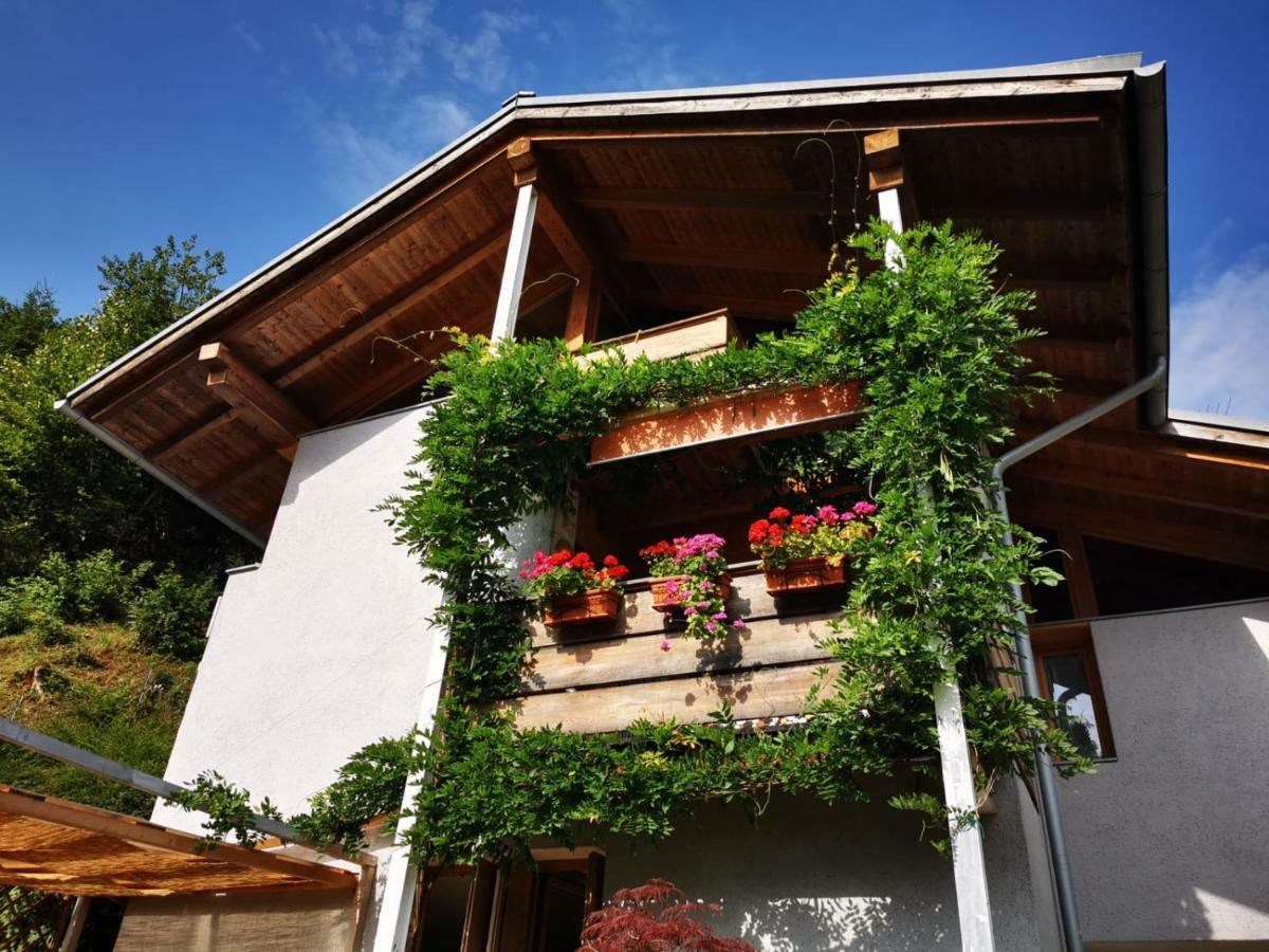 Minavill La Casa Sulle Dolomiti Bed and Breakfast Fiera Di Primiero Exterior foto